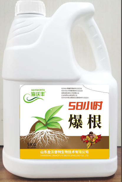 58小时爆根